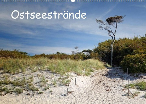 Ostseestrände (Wandkalender 2023 DIN A2 quer)
