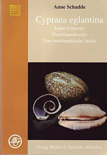 Cypraea egliantina, Kauri-Schnecke - Eine homöopathische Studie