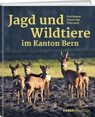 Jagd und Wildtiere im Kanton Bern: Von der Vergangenheit in die Zukunft
