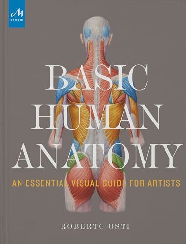 Basic Human Anatomy: An Essential Visual Guide for Artists