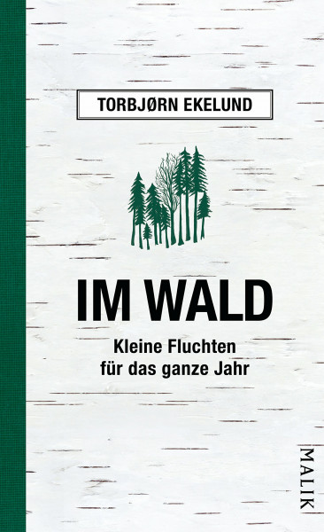 Im Wald: Kleine Fluchten für das ganze Jahr