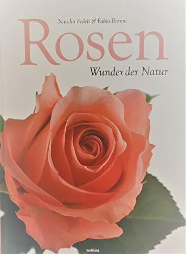 Rosen - Wunder der Natur