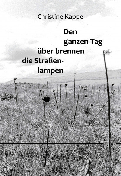Den ganzen Tag über brennen die Straßenlampen: Gedichte (edition offenes feld)