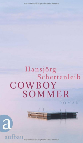Cowboysommer: Roman