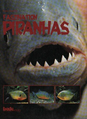 Faszination Piranhas