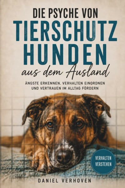 Die Psyche von Tierschutzhunden aus dem Ausland: Ängste erkennen, Verhalten einordnen und Vertrauen im Alltag fördern