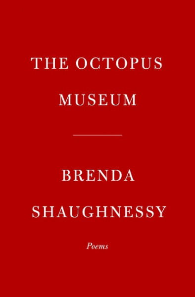 The Octopus Museum