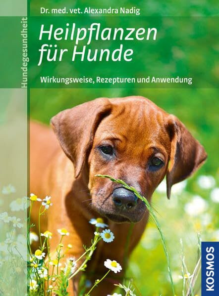 Heilpflanzen für Hunde: Wirkungsweise, Rezepturen und Anwendung