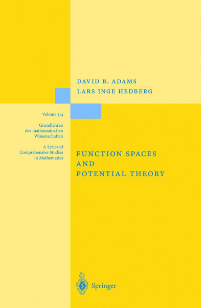 Function Spaces and Potential Theory (Grundlehren der mathematischen Wissenschaften, 314, Band 314)