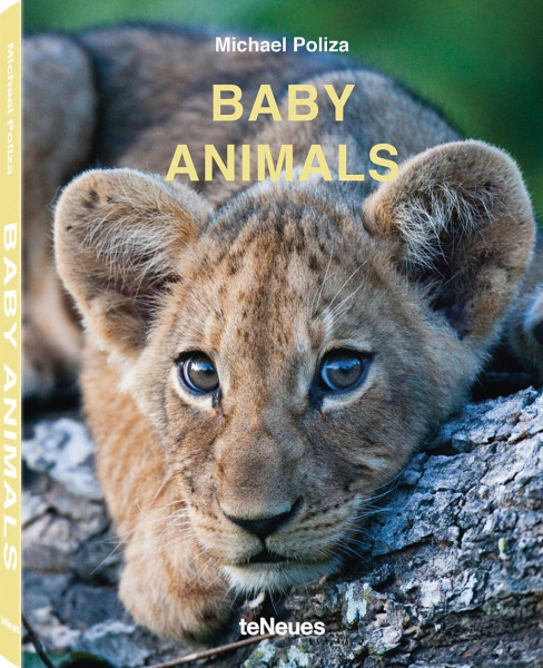 Baby Animals