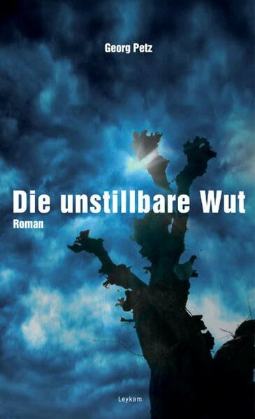 Die unstillbare Wut: Roman