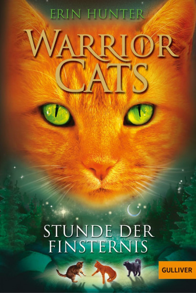 Warrior Cats. Stunde der Finsternis: Staffel I, Band 6 (Warrior Cats, Staffel 1, 6)