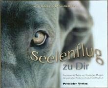 Seelenflug zu Dir / The Soul's Flight to you: Faszinierende Fotos von Deutschen Doggen mit poetischen Texten