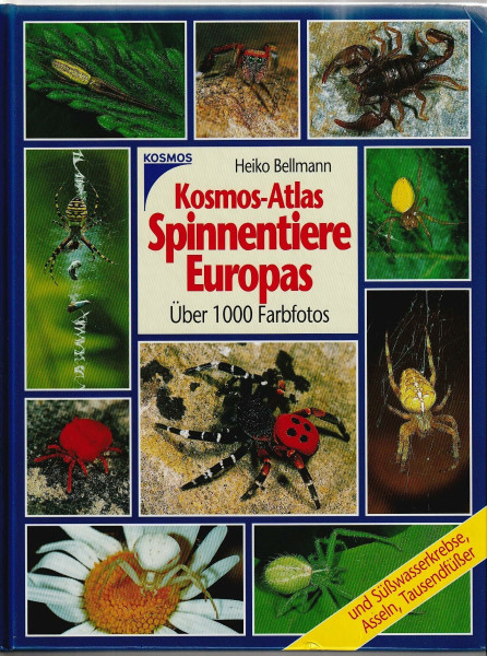 Kosmos Atlas Spinnentiere Europas