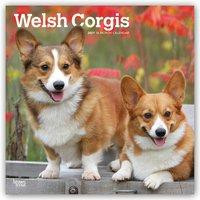 Welsh Corgis 2021 Square