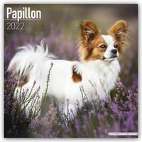 Papillons 2022 - 18-Monatskalender mit freier DogDays-App