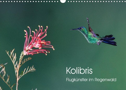 Kolibris - Flugkünstler im Regenwald (Wandkalender 2022 DIN A3 quer)
