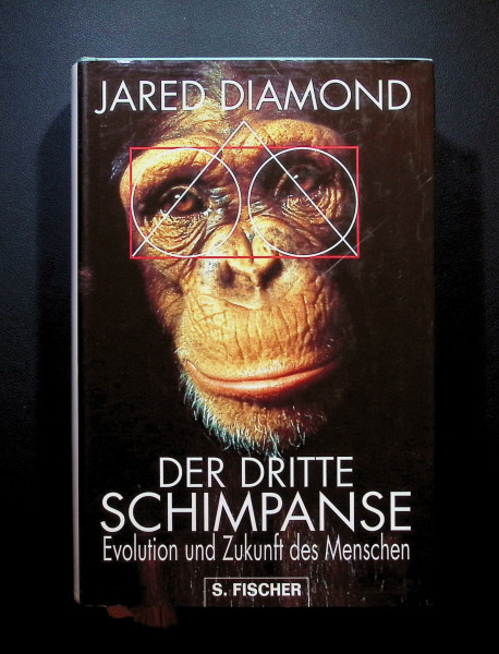 Der dritte Schimpanse