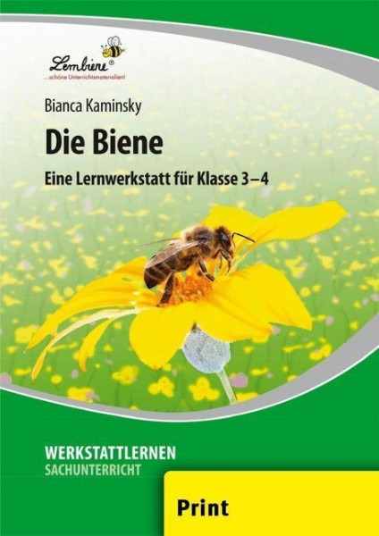 Die Biene. Grundschule, Sachunterricht, Klasse 3-4