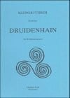 Der Druidenhain von Wohlmannsgesees. Ein kleiner Führer