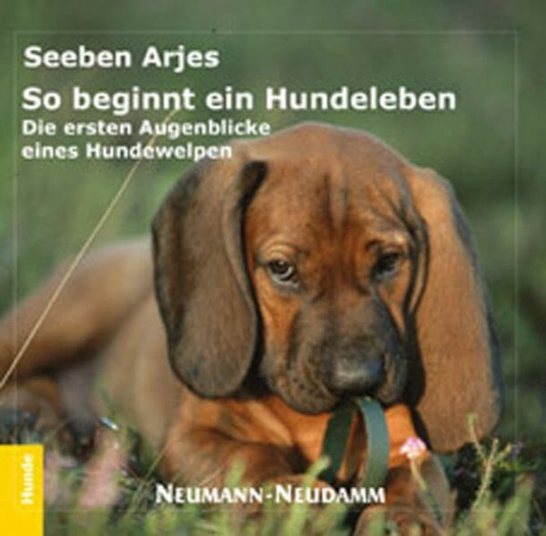 So beginnt ein Hundeleben: Die ersten Augenblicke eines Hundewelpen