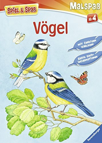 Vögel (Spiel & Spaß - Malspaß)