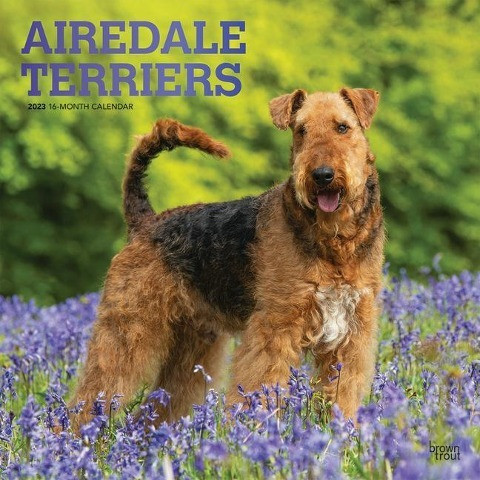 Airedale Terriers 2023 Square Foil
