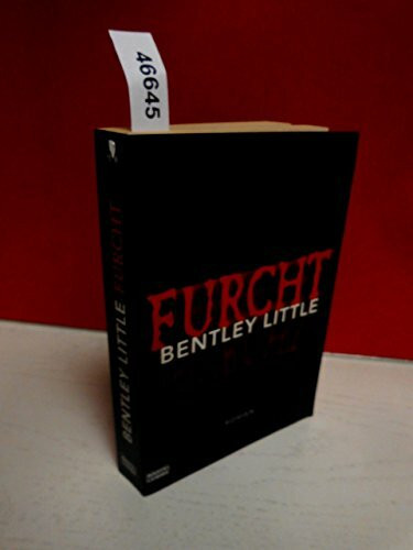 Furcht: Spannungs-Roman