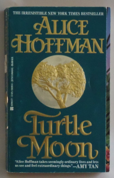 Turtle Moon