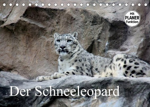 Der Schneeleopard (Tischkalender 2023 DIN A5 quer)