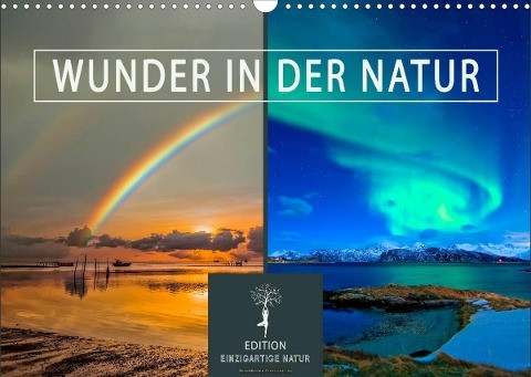 Wunder in der Natur (Wandkalender 2022 DIN A3 quer)