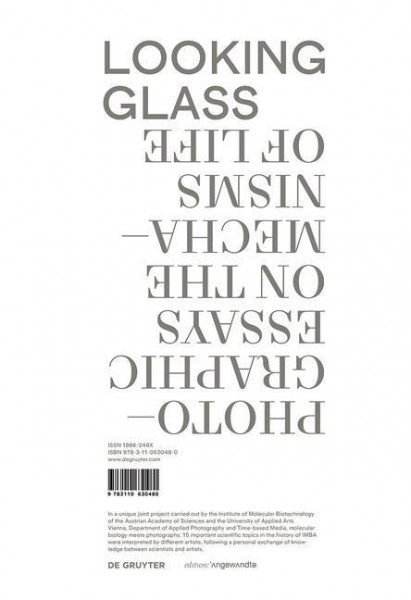 Looking Glass