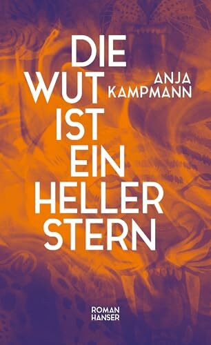Die Wut ist ein heller Stern: Roman. Nominiert für den Preis der Leipziger Buchmesse 2026