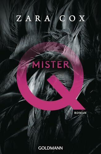 Mister Q: Roman