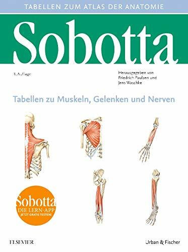 Sobotta Tabellen zu Muskeln, Gelenken und Nerven: Tabellen passend zur 24. Aufl. des Sobotta-Atlas (VORKLINIK - Lehrbuch - Urban & Fischer-Verlag)