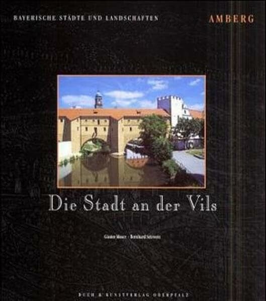 Amberg. Die Stadt an der Vils (Bayerische Städte und Landschaften)