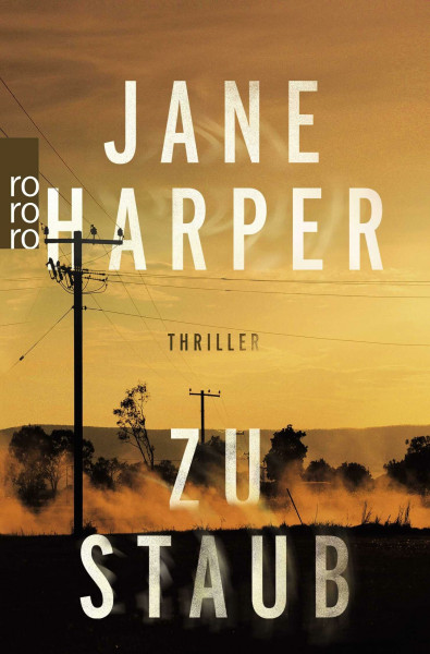 Zu Staub: Thriller