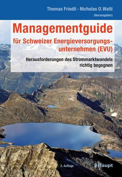 Managementguide für Schweizer Energieversorgungsunternehmen (EVU): Herausforderungen des Strommarktwandels richtig begegnen