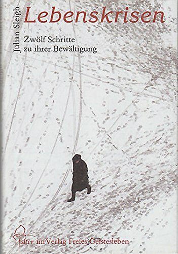 Lebenskrisen: Zwölf Schritte zu ihrer Bewältigung (falter)
