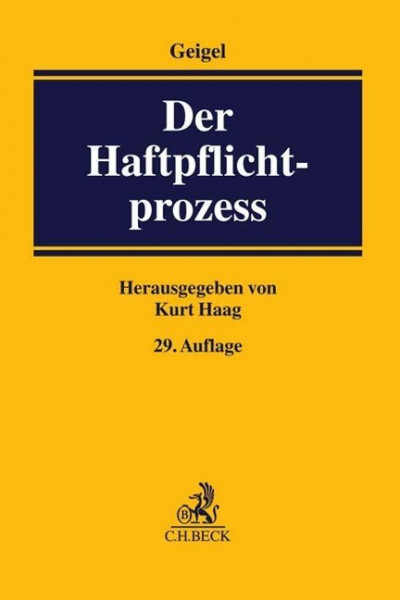 Der Haftpflichtprozess