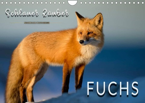 Fuchs - schlauer Räuber (Wandkalender 2022 DIN A4 quer)
