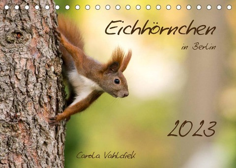 Eichhörnchen in Berlin (Tischkalender 2023 DIN A5 quer)