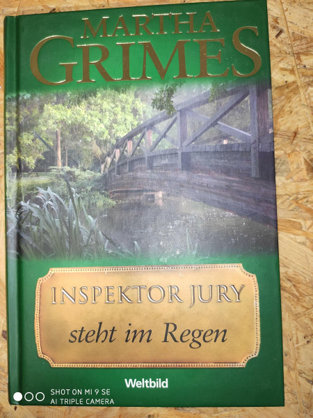 Inspektor Jury steht im Regen: Roman