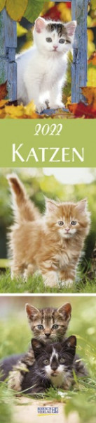 Katzen Langplaner 2022