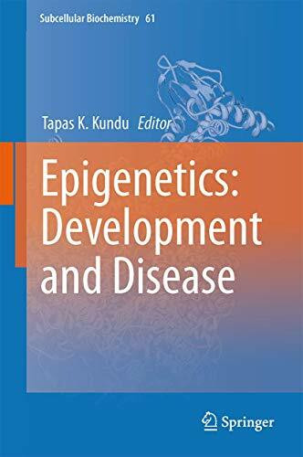 Epigenetics: Development and Disease (Subcellular Biochemistry, 61, Band 61)