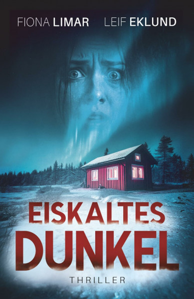 Eiskaltes Dunkel: Schwedenthriller