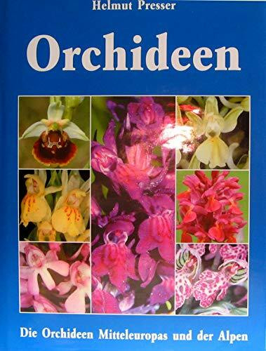 Orchideen: Die Orchideen Mitteleuropas und der Alpen