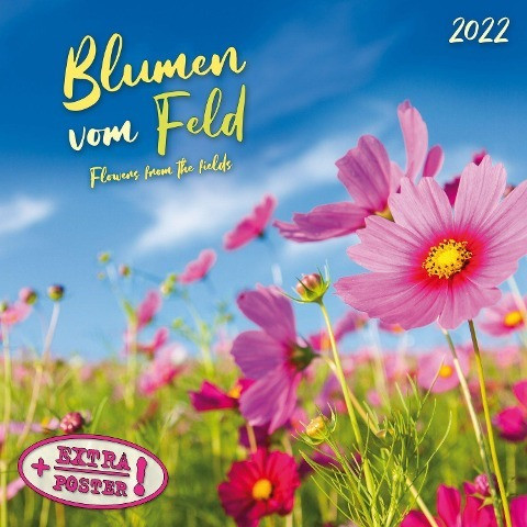 Blumen vom Feld 2022