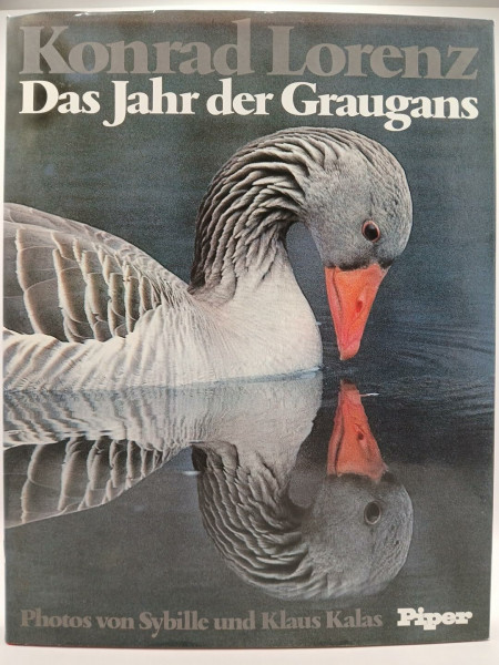 Das Jahr der Graugans