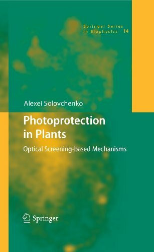 Photoprotection in Plants: Optical Screening-based Mechanisms (Springer Series in Biophysics, 14, Band 14)